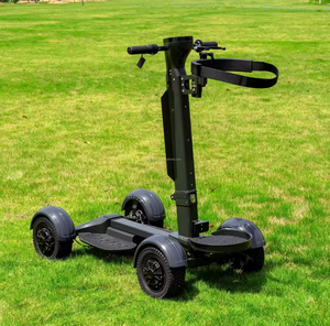 QUALITY EU CERTIFIED Industrial <b>Plastic</b> 2000W 48V <b>Wheel</b> Folding Golf Cart Scooter-3-Year Warranty OEM DIY Options-FAST DELIVERY! - Product Image 3