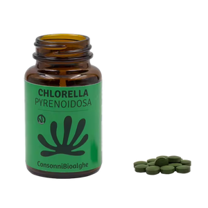 Gốc ý Nhà cung cấp của chất lượng cao <span class=keywords><strong>Chlorella</strong></span> <span class=keywords><strong>pyrenoidosa</strong></span> đóng gói trong thùng nhựa cho thực phẩm bổ sung - Product Image 1