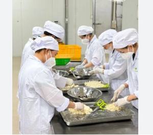 SOURSOP CONGELÉ SANS GRAINES DE QUALITÉ SUPÉRIEURE, SÉLECTIONNÉ SOIGNEUSEMENT AU VIETNAM - Product Image 5