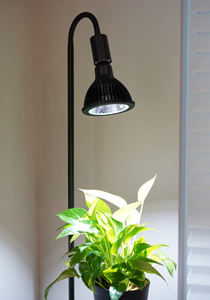 Meilleure vente Supports de lampe LED réglables Bases Matériel PC Matériel d'éclairage Support de bras flexible Trois supports de lampe Bases - Product Image 3