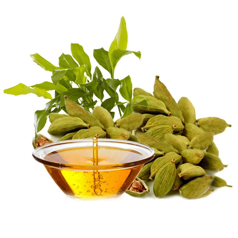 Pure Cardamom Essential Oil for import Indian Reliable Supplier for Cardamom Organic Oil By Aromaaz International