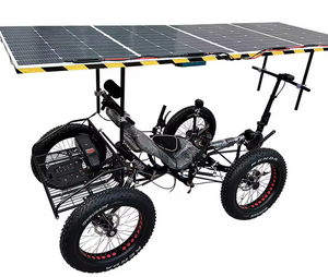 Se puede enviar inmediatamente: Triciclo reclinado eléctrico TrikExplor Bafang 500w todoterreno con neumáticos gruesos F420E y panel solar. - Product Image 2