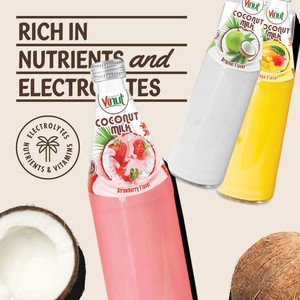 Coconut Milk Drink Original | 16.2 Fl (Pack of 24) , No Added Sugar, Wholesale Supplier, Free Sample, Private Label,OEM ODM - Product Image 3