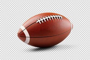 Ballon de rugby en cuir sur mesure avec logos personnalisés de taille - Product Image 5