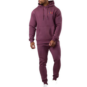 Chándal para Hombre al Por Mayor a Precio OEM, Chándal de Manga Larga de Alta Calidad, Transpirable, con Capucha - Product Image 1