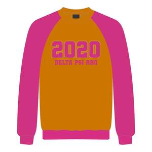 Delta Psi Rho Sorority Raglan Sleeve Crewneck Sweatshirt Gold Cotton Poly Founding Year 2020 <b>Jumper</b> Greek Life Casual Apparel - Product Image 2