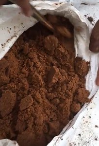 Poudre de mélasse séchée dans la commande en gros pour les animaux à bas prix | Made in Vietnam - Product Image 6