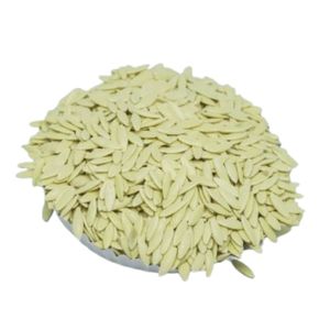 Produit neuf, graines de concombre BCA F1, produit de haute qualité, produit premium, best-seller, offre promotionnelle exceptionnelle en provenance d'Indonésie - Product Image 2