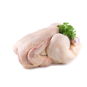 Poulet entier congelé brésilien à vendre - Product Image 5