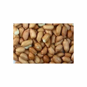 Emballage en vrac personnalisé, bio, brut et imprimé pour les graines à grignoter, les cacahuètes, les dattes, les noix et autres fruits à coque - Product Image 3