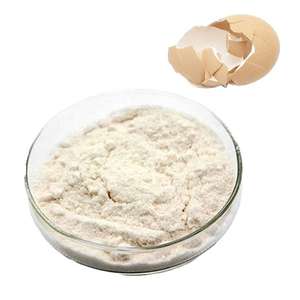 Poudre d'albumine d'œuf de qualité supérieure, poudre d'albumine d'œuf de qualité alimentaire en gros - Product Image 6