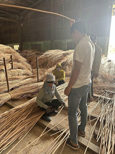 แกนหวายทรงกลมสำหรับซ่อมเก้าอี้เฟอร์นิเจอร์งานฝีมือ - Product Image 5