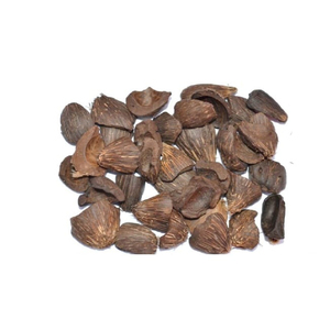 Thân Thiện Với Môi <span class=keywords><strong>Palm</strong></span> Hạt Nhân Vỏ 100% Tự Nhiên Nông Nghiệp Chất Thải Động Vật Bộ Đồ Giường Chất Liệu Cho Làm Vườn Sử Dụng Nigeria/<span class=keywords><strong>Ghana</strong></span> - Product Image 2