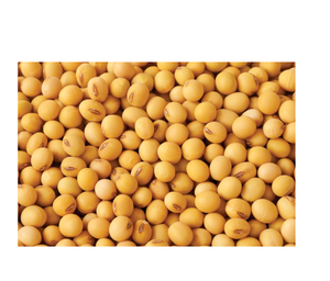 Orgánica Premium de alta calidad de soja de estilo seco Envasado a granel Cocinar Hornear Beneficios nutricionales 10kg 24 meses Vida útil - Product Image 3