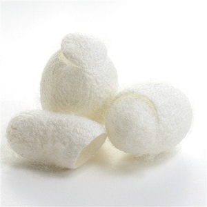 ORGANIC <b>SILKWORM</b> COCOONS / SOFT and DURABLE / BEST AFFORDABLE PRICE / MADE in VIETNAM - Product Image 4