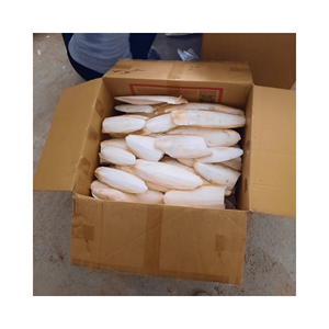 กระดูกปลาหมึกคุณภาพพรีเมี่ยมจากธรรมชาติมีสารอาหารสูงเหมาะสำหรับเคี้ยวและของเล่นสำหรับสัตว์เลี้ยงทนทานและเป็นของแท้จากเวียดนาม - Product Image 2