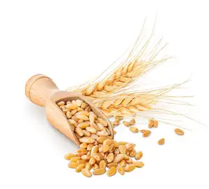 Schlussverkaufspreis Weizen Vollkornprodukte und -säme für menschliche Ernährung oder Tierfutter in Großgebinden