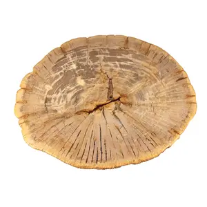 Mesas de centro extensibles de diseño moderno, suministro directo de fábrica de proveedor indio para hoteles y hospitales, Exportación a granel - Product Image 4