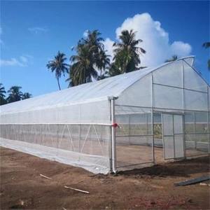 Invernadero de película de polietileno multiespacio con estructura de acero galvanizado para agricultura, invernadero de túnel de policarbonato para flores y plantas - Product Image 4