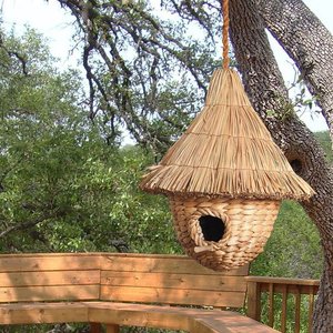 NOUVEAU PRODUIT! Vente en gros bon marché Jacinthe d'eau naturelle Petit nichoir pour petits oiseaux Jardin extérieur Patio - Product Image 2