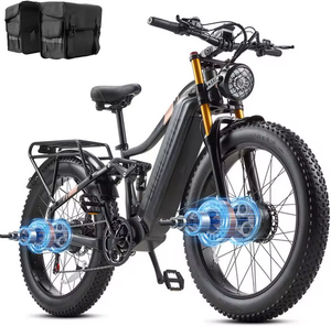 Vélo électrique pour adultes, 12V, roue de 24 pouces, cadre en aluminium, freins à disque, vitesses parfaites, 12 vitesses, 2000W/1000W, moteurs doubles AWD, batterie au lithium - Product Image 1