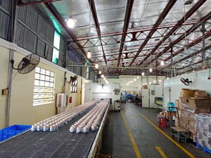 Velas de copa de cristal perfumadas personalizadas al por mayor, mezcla de Palma colorida, Etiqueta Privada, precio de fábrica, decoración del hogar, Navidad de Vietnam - Product Image 2