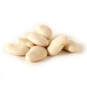 100 Frijoles Blancos Grandes Secos de Alta Calidad para Venta al por Mayor, Duración de 2 Años, Origen Tailandia - Product Image 1