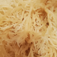Mousse de mer séchée crue Eucheuma Cottonii | Approvisionnement en vrac au Vietnam