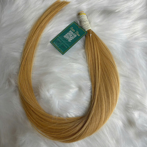 ¡PELO DE LUJO! Extensiones de cabello humano natural liso a granel, longitud y color personalizados, fabricante de cabello vietnamita crudo - Product Image 1