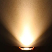 Downlight LED Regulable Minimalista, Foco COB Antideslumbrante Profundo de 3W Empotrable para Proyectos de Decoración Hotelera