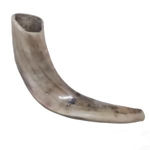 Cuerno de Shofar de Carnero Natural Pulido - Decoración Religiosa Ecológica para el Hogar de Alta Calidad - Product Image 1