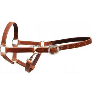 Licou de cheval en cuir véritable de couleur bronzage attrayante conception personnalisée licou de course de chevaux léger matériel en laiton ou en nickel - Product Image 1