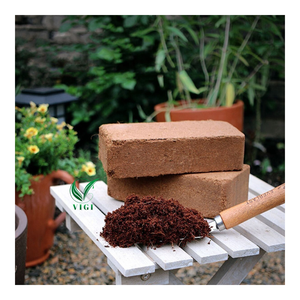 Bloc de tourbe de fibre de noix de coco de haute qualité exporté du Vietnam pour des applications agricoles et horticoles - Product Image 1