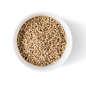 Premium sorghum <b>grains</b> available for wholesale food and feed supply - Product Image 5