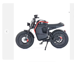 Vélo de montagne électrique FEIWO, moteur 500W, tension 48V, aventures tout-terrain en Europe et en Amérique, pneus larges, batterie au lithium - Product Image 2