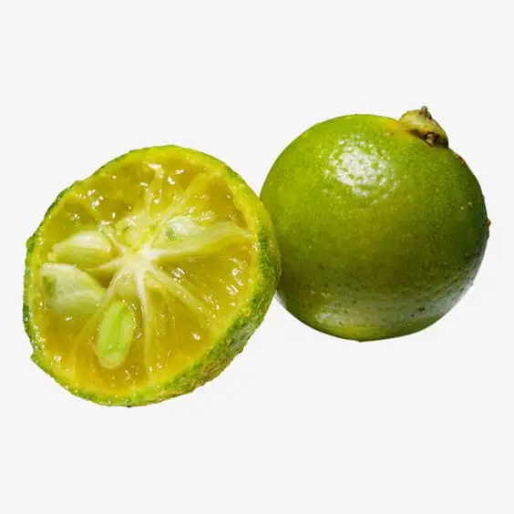 Puree dan konsentrat CALAMANSI buah aseptik Puree kombinasi aroma dari limau dan mandarin jeruk sedikit manis rasa asam