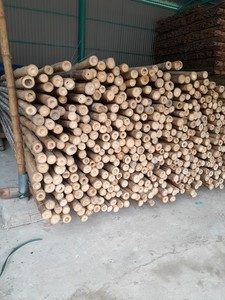 Tubes en bambou du Vietnam, produit phare de 99D, avec les meilleures offres pour la vente en gros, la construction et la décoration - Product Image 2