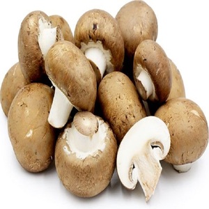 Champiñones Blancos Frescos Congelados de Alta Calidad y Frescura Garantizada - Product Image 4