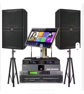 El proveedor verificado: Conjunto de micrófonos con woofer para equipos de sonido para fiestas y cabinas familiares - Product Image 1