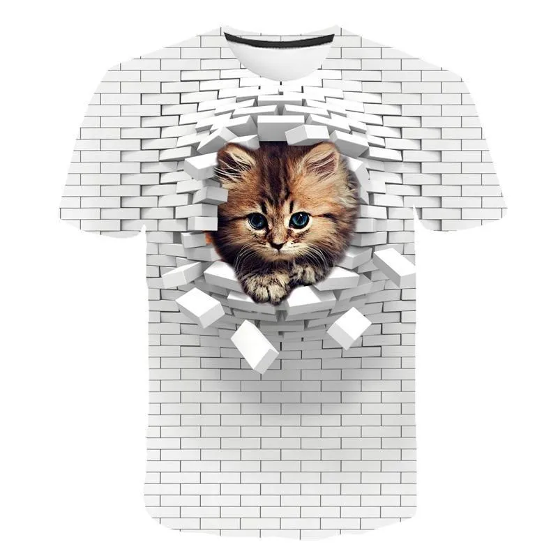Cat Print Clothes