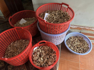 PROVEEDOR DE VIETNAM PENDIENTES DE RATÁN DISEÑO CALIENTE 100% ACCESORIOS A JUEGO FÁCILES HECHOS A MANO - Product Image 4