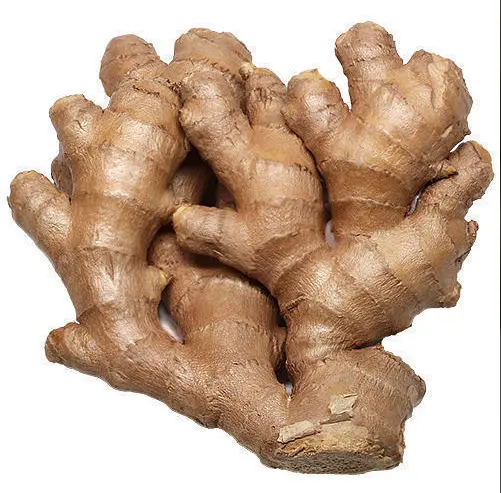 High-quality fresh ginger size 150g up available in large quantities price at the farm gate origin Vietnam.