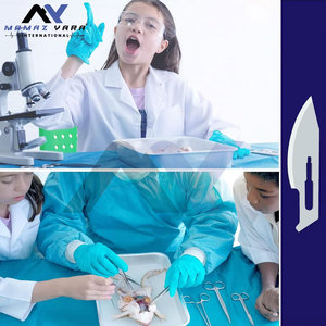 Lames chirurgicales n° 23 pour manches de scalpel, dermaplaning, lames de sculpture artistique, lames de laboratoire, couteaux de laboratoire - Product Image 2