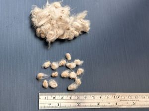 Semillas de algodón orgánico crudo de calidad superior al por mayor baratas para la exportación - Product Image 4