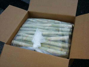 อ้อยแช่แข็ง IQF คุณภาพดี ราคาดีที่สุดจากเวียดนาม จำหน่ายส่งสำหรับทำน้ำผลไม้ สมูทตี้ ของหวาน ส่งออก/ คุณคานะ - Product Image 6