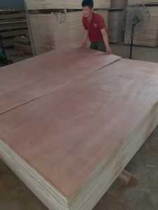 Panneaux de placage écologiques modernes du Vietnam 4x8 5mm d'épaisseur E2 formaldéhyde prix bon marché contreplaqué de 5mm pour la décoration extérieure - Product Image 3