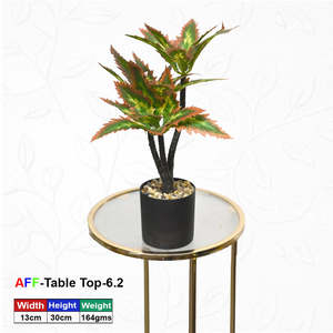 Artificial Indoor <b>Potted</b> <b>Succulent</b> Autumn-Edge Variegated Tabletop Shrub - Product Image 1