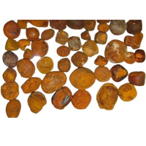 Bezoar Bovis Ox Gallstones de Grado Farmacéutico, Piedras Biliares Naturales Secas, Proveedor Mayorista - Product Image 1