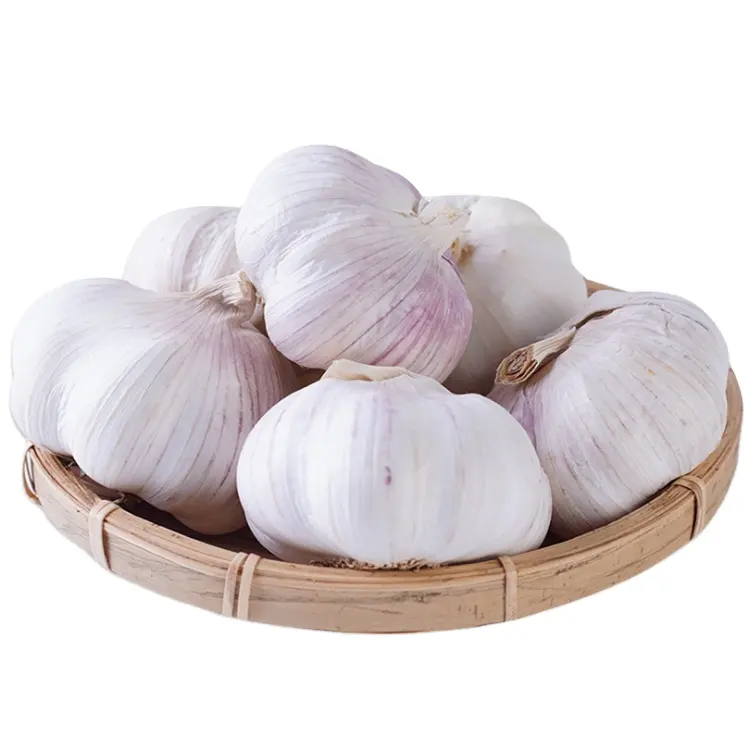 Chinese Low Price Fresh Garlic White Bag Crop Style Weight Normal Net