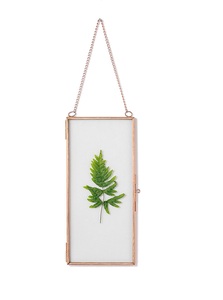 Hexagone Rectangle Fleurs Pressées Décoration Murale Cadre Suspendu En Laiton pour Carré D'affichage Pour Une Utilisation De Décoration - Product Image 3